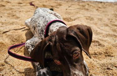 Entre Mar y Montaña - Foto 48