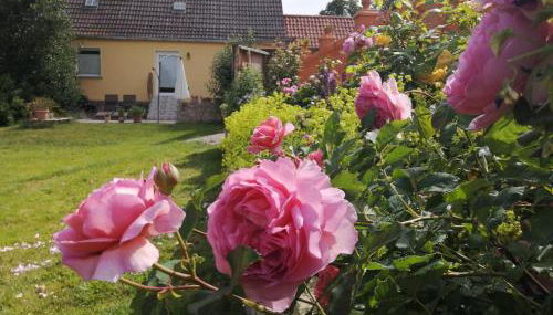 Strandhaus Mariflor - Foto 4