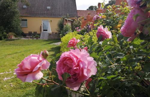 Strandhaus Mariflor - Foto 4