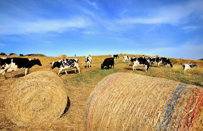 Agriturismo Villa Dafne - Photo 52