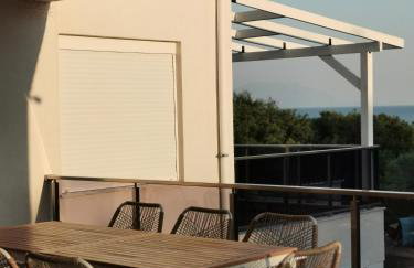 Platan Paradise - Foto 8