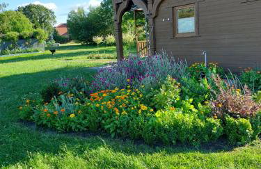 Przytulisko - Foto 4