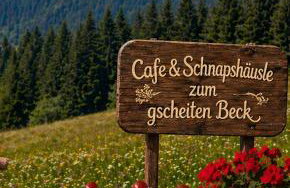 FEWO klein mit Garten - Foto 1
