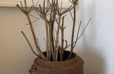 Casa da Arquinha - Photo 11