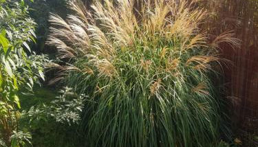 FeWo Weimar - Foto 2