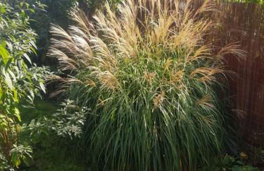 FeWo Weimar - Foto 2