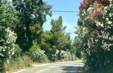 Dreamy relaxing secluded Villa Aurora - Foto 60