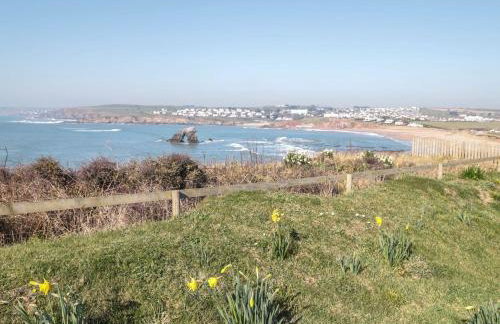 Sea Campion - Foto 33