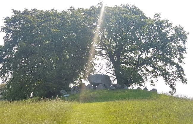 6 Person Holiday Home in Vordingborg - Foto 18