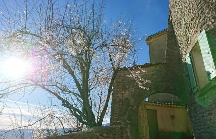 Grande maison de village - solarium et terrasse - Foto 23