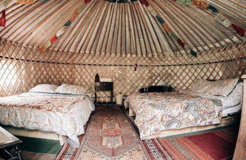 Hapus Yurt - Two Beautiful Yurts and Barn Cottage - Foto 33