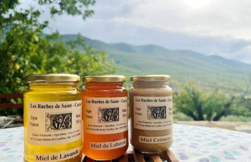 Le Grand Hermas - Foto 18