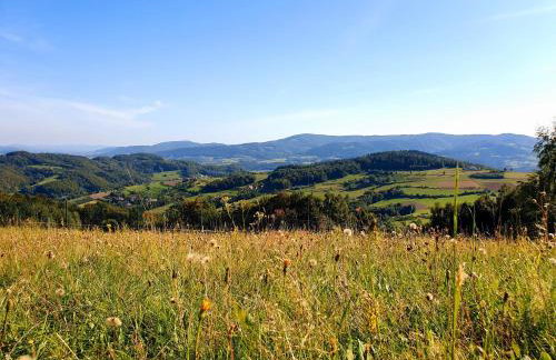 Dom na Kamieńcu - Photo 60