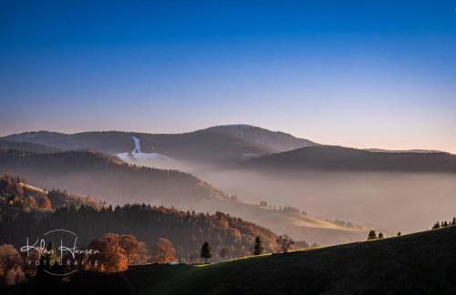 "Chalet H28" mit 4 Schlafzimmer in Todtnau-Muggenbrunn - Foto 26