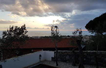 Poggio degli Ulivi - Foto 57