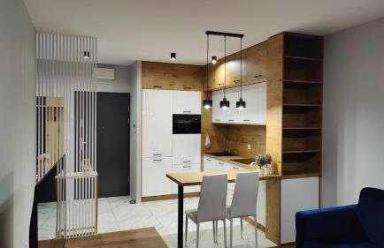 Apartament przy Parku Śląskim - Foto 5