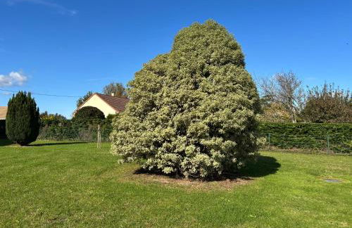 La clé des champs Maison plain pied lumineuse bien équipée, séjour spacieux, belle terrasse aménagée, garage, grand jardin clos, parking, près de Bayeux et Omaha Beach, chiens bienvenus - Foto 45