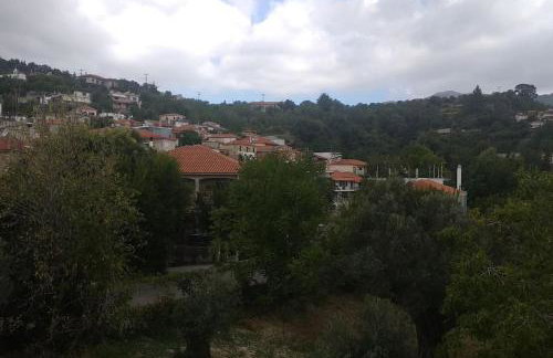 Green Garden appartment with mountain view, Vitala - Foto 10