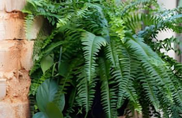 Casa Central Salloto di Anita Laguna - Photo 28