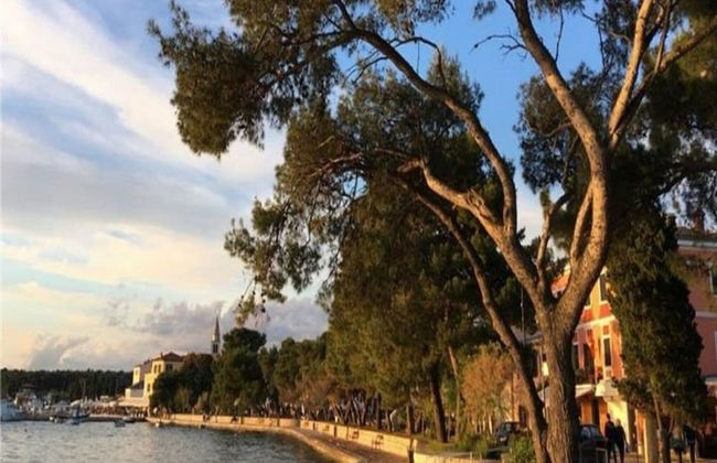 Bright Studio Apartment With Pool View - Foto 19