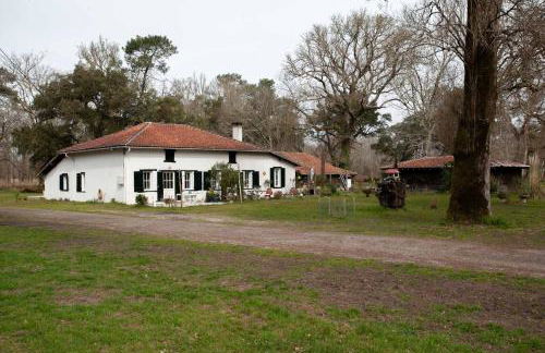 Domaine forestier Darricau au bord du lac, 12 min de l'océan - Foto 23