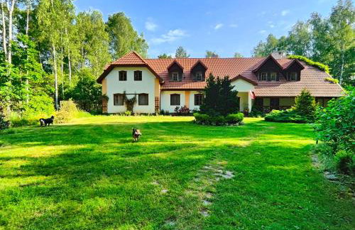 Villa Stare Osieczno - Foto 36