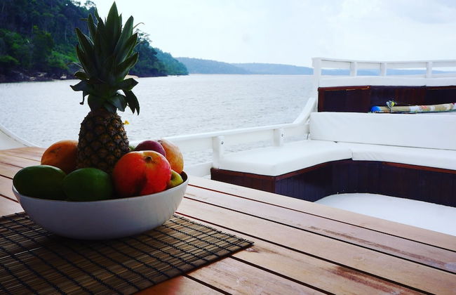 Gorgeous Converted Fishing Vessel in Alter do Chao - Foto 4