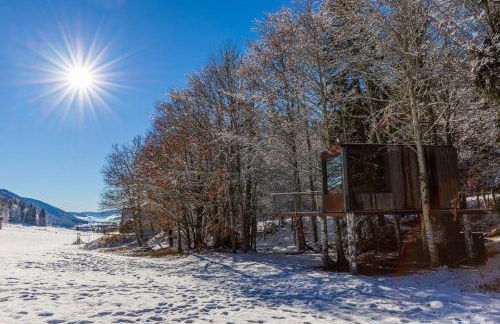 Cabane perchée La Résilience sur le plateau du Vercors - Foto 22