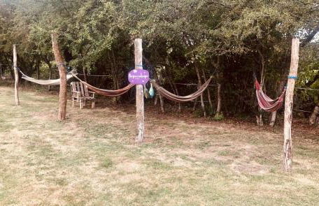 le gite des 3 saules - Foto 46