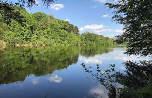 Dog Friendly Lakeside Escape with Hammock and Fire Pit - Foto 48