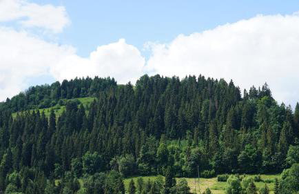 DOM NA SKARPIE - Foto 10