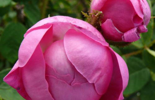 Casa vacanze Ester - Photo 50