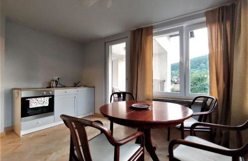 Apartament u Tomka Premium - Foto 10