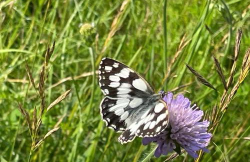 Ferienwohnung Aussicht, Monheimer Alb, Altmühltal - Foto 30