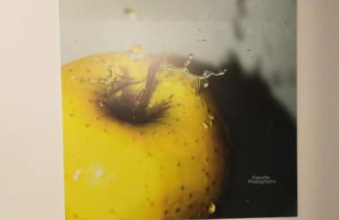 IDA S Apartament - Photo 9