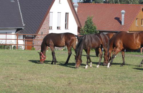 Ferienwohnung ISTERBERG - Foto 20