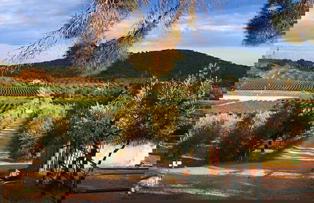 Bulichella - Foto 46