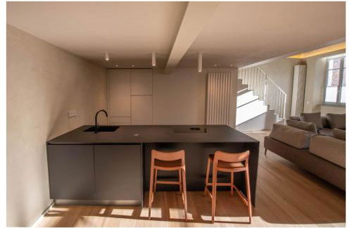 Appartement des Barons - Palais Ansermin - Dimora storica - Foto 41