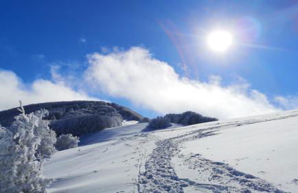 Casa fiordaliso - Foto 65