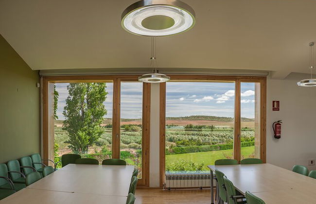 Oleotourism in Navarre. Visit and tasting of organic EVOO Artajo - Photo 10