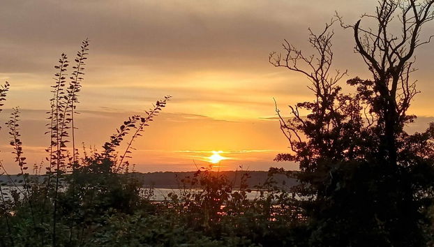 8 Person Holiday Home in Olsted-by Traum - Foto 4