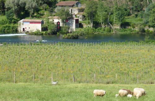 Quinta do Burgo - Nature Hotel - Foto 74