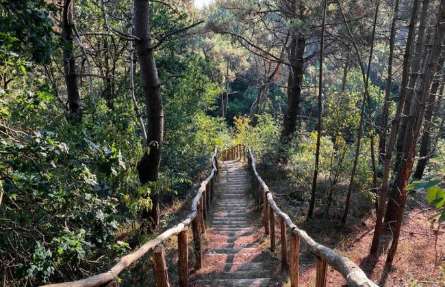 Holiday Home in De Koog Near Texel Beaches - Foto 29