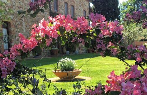 Fattoria Cirene - Foto 20