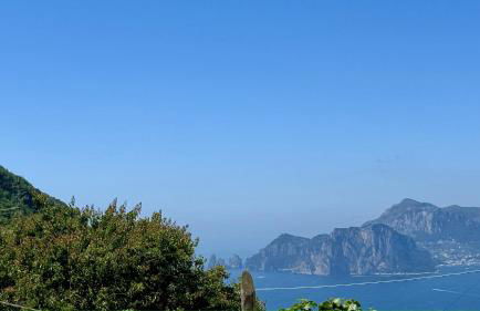 The Dream - Photo 17