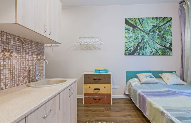 Narvskie vorota - Photo 5