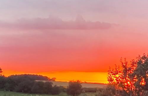 Sunny Meadow Cottage - Photo 21