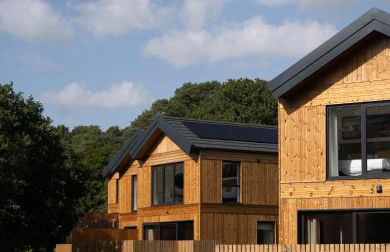 The Mole Resort - Lodges - Foto 35