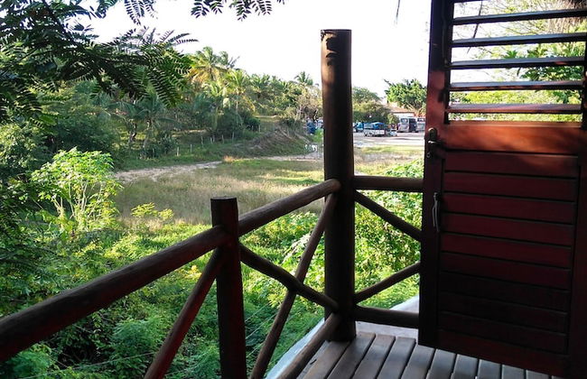 Pipa Park - Photo 64