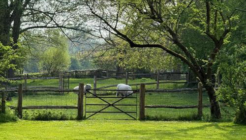 1 Bed in Eye- oc-34390 - Foto 3, Other